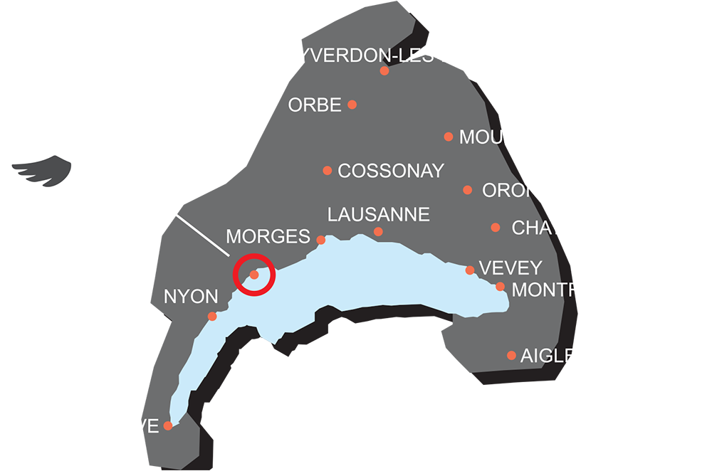 nettoyage femme ménage repassage appartement entreprise nyon gland rolle morges vaud suisse